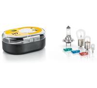 HELLA Variedad De Bombillas Halógenas P21W R5W T4W H7 12V (8GH 007 157-941)