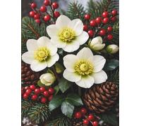 Hellebore, Lined Composition Notebook Journal For Adults, Teen, Kids, School, Office, Work, College, Social Media: 8.5 x 11.25 Inches | Grey Lines With Optional Margins | 100 Pages College Ruled