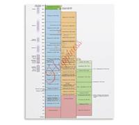 Hellenistic Period Timeline Chart with Hasmonean Judea Ptolemaic Seleucid Roman Rulers Poster for Study Room Wall Decor(Unframed,16x24inch(40x60cm))