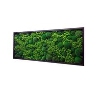 Hello Moss - Cuadro de musgo decorativo para tu casa con musgo y Cladonia (60 x 30 cm)