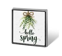 Hello Spring Greenery on A Rope Bow - Broches y alfileres unisex cuadrados ligeros para solapa, joyería para ropa, chal, sombrero