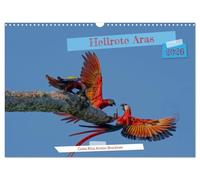 Hellrote Aras (Wandkalender 2026 DIN A3 quer), CALVENDO Monatskalender: Aras in ihrer Farbepracht verzaubern jeden Beobachter in erstaunen, keine Papageienart ist so imposant wie die Aras.