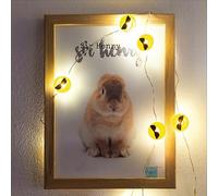 hellum 522952 - Guirnalda de luces LED de cobre con 2 cm de diámetro, 10 ledes de luz blanca cálida, 90 cm de longitud de luz, cable plateado, para interiores, funciona con pilas (2AA)