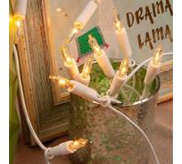 hellum Cadena de luces interiores alimentadas por electricidad, mini cadena de 10 bombillas claras cálidas, 1,35 m, cable blanco, 10 luces con enchufe para Navidad 831184