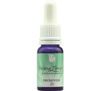 Helping Flowers® Nº 20 Rosa corymbifera - 10 ml Helping Flowers®