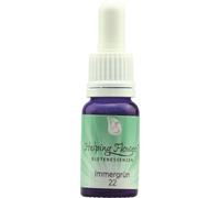 Helping Flowers® Nº 22 Vincapervinca - 10 ml Helping Flowers®