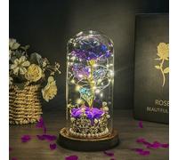Hemiro Rosa eterna en tarro de cristal, regalos para el Día de la Madre para mamá, rosa en tarro de cristal con LED en una cúpula de cristal, regalos para mujeres, mamá, abuela, novia (Lila)