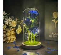 Hemiro Rosa Eterna, Regalo San Valentin, Regalos Originales para Mujer, Rosa Preservada con LED, Regalos para Mujer, Mamá, Abuela,Novia