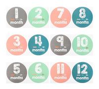 Hemobllo 12piezas Pegatinas para Bebés De Decoración Fotográfica para Nuevos Nacidos para Capturar Momentos Especiales Diseño Atractivo y Práctico Accesorios Fotográficos para Mamás