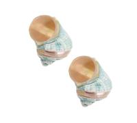 Hemobllo 2 Piezas Conchas Naturales de Caracola Mediterránea para Decoración Marina Especímenes Auténticos para Acuarios y Colecciones Adornos Costeros para Hogar y Manualidades Náuticas