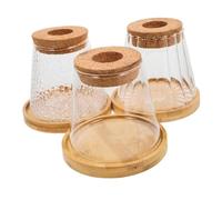 Hemobllo 3juegos Jarrón Hidropónico De Transparente con Bandeja para Micropropagación Jardinería Interior Unidades Accesorios De Escritorio Pequeño