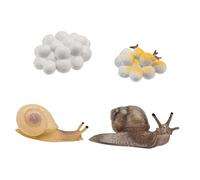 Hemobllo 4 Piezas Figuritas de Caracoles Artificiales para Educativo Ciclo de Juguete Didáctico y Decoración de Escritorio Material Seguro y Práctico