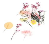 Hemobllo Bolsa de Flores Secas Naturales Prensadas para Manualidades DIY, Kit de Material para Hacer Decoraciones Flores Inmortalidad, Accesorio para Bricolaje y Decoración del Hogar