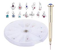 Hemobllo Colgantes de Joyería para Uñas 24 Piezas con Taladro Manual para Perforar Uñas Accesorios de Aleación Kit Profesional para Manicura y Diseño Creativo en Casa