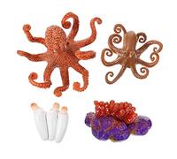 Hemobllo de Ciclo de de Realista Figura para Juguete de Simulación Animal Decoración Didáctica para Aprendizaje Natural