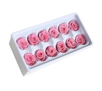 Hemobllo Flores Preservadas 12 Piezas Rosas Inmortales 3-4 CM Cabezas Rosa Clara Accesorios para Ramos Regalos de Boda