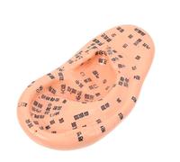 Hemobllo Modelo de Masaje de Oreja Realista de PVC Duradero con Puntos de Acupuntura Marcados para Enseñanza y Terapia Auricular Medicina Tradicional