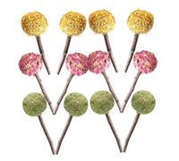 Hemobllo Palitos para Morder para Conejillos de Indias y Hámsteres 12 Juguetes Masticables Que Promueven Salud Dental Material Sintético y Formas Únicas