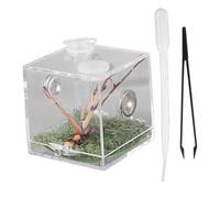 Hemobllo Terrario Acrílico Transparente para Reptiles y Arañas Saltarinas Ventilación Gotero y Pinzas Adecuado para Cría y Cuidado Interiores