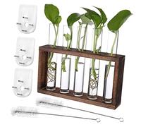 HEMOTON 1 Juego Conjunto de contenedores de Plantas propagación de Plantas estación de propagación Colgante plantador Planta Artificial Jardinera de Pared de Vidrio Puestos de propagación