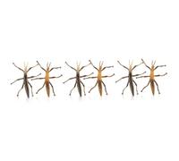 HEMOTON 6 Piezas Juguetes de Insectos de Plástico de Insectos Educativos para Observar Bichos y Aprendizaje Infantil Diseño Realista y Duradero