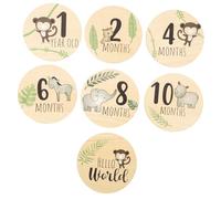 HEMOTON 7 Piezas De Placa De Madera Con Forma De Disco De Hola Espejo Decoración De Pared Tarjeta Colorida