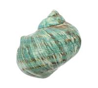 HEMOTON Concha de Mar Natural Verde 9-10cm, Caracol Grande para Cangrejo Ermitaño, Conchas Turbo para Decoración de Acuario Pecera, Artesanía Náutica y Colección