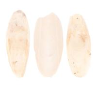 HEMOTON Hueso de Sepia Juguete Colgante 8-12cm 3 Piezas, para Loros | Calcio Molar de Hueso de Sepia, Masticable Seguro, para Jaula y Balcón, Mezcla en Comida