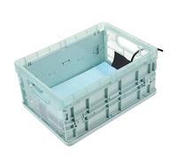 HEMOTON Incubadora para Huevos De Aves con Almohadilla Térmica, Caja De Incubación De Plástico Resistente, Tamaño Pequeño, Adecuado para Cría El Hogar, Adecuada para Loros y Aves Domésticas