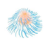 HEMOTON Joyería de Coral Falso Brillo decoración corales paisajes Adorno de Coral Plantas de Acuario Que Brillan bajo luz Imitación Gel de sílice Azul