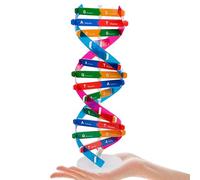 HEMOTON Modelo de ADN Didáctico Doble Hélice para Estudiantes, Tamaño Grande, Material Educativo Científico, Autoensamblaje, Enseñanza de Genética Humana, Kit Educativo 2 Piezas para Aula