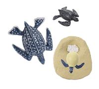 HEMOTON Modelo de Tortuga Laúd Realista de 5 Etapas, Figura Educativa de Aprendizaje Temprano, Material Seguro y Saludable, Juguete Didáctico Decoración Educativa Hogar