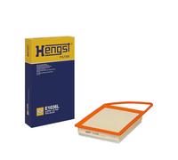 Hen E1036L Compartimentos de Motor