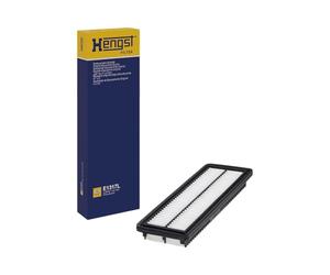 Hen E1317L Compartimentos de Motor