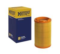 Hen E429L Compartimentos de Motor