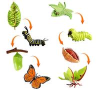 HENGBIRD 8 piezas mariposa ciclo de vida figuras de juguete y polilla figura oruga mariposa ciclo de crecimiento kit montessori juguetes herramientas de aprendizaje escuela proyecto para niños 3-8