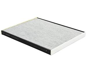 Hengst E2939LC Filtro, aire habitáculo