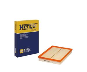 Hengst Hen e391l Motor Salas