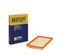 Hengst Hen e880l Motor Salas