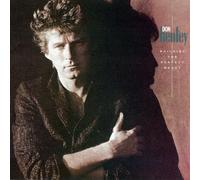 Henley,Don - Building the Perfect Beast