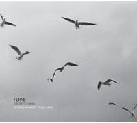 Henning Schmiedt - Ferne