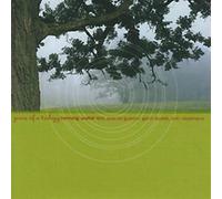 Henning Wolter Trio - Years Of A Trilogy