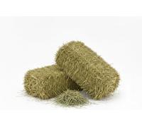 Heno natural para caballos, ovinos, caprinos y ganado 15 kg | Bala de heno italiano de prado de montaña orgánico | Alimento para todos los roedores, conejos y ganado | Alta calidad