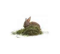Heno natural para conejos, 1 kg | Bala de heno italiano de prado de montaña secado al sol | Alimento para cobayas, chinchillas, conejos enanos, caballos, pollos y roedores