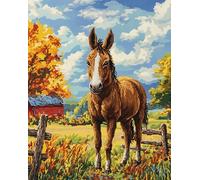 Henypt 11CT Bordar Kit Principiantes,animal burro Kits De Punto De Cruz Patrones Fáciles,Suministros De Punto De Cruz,Para Regalos De Principiantes,30x40cm