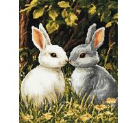 Henypt 11CT Bordar Kit Principiantes,Dos conejos en la hierba Kits De Punto De Cruz Patrones Fáciles,Suministros De Punto De Cruz,Para Regalos De Principiantes,30x40cm