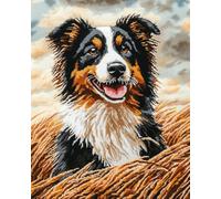 Henypt Kit Punto de Cruz Completo Tela Impresa,Border Collie Animal Perro 16x20in 11ct Cross Stitch Embroidery Kit Principiantes para DIY Decoracion Hogar,Cadeau d'anniversaire
