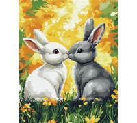 Henypt Kit Punto de Cruz Completo Tela Impresa,Dos conejos en la hierba 12x16in 11ct Cross Stitch Embroidery Kit Principiantes para DIY Decoracion Hogar,Cadeau d'anniversaire