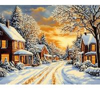 Henypt Kit Punto de Cruz Completo Tela Impresa,Escena nevada de casas y calles 12x16in 11ct Cross Stitch Embroidery Kit Principiantes para DIY Decoracion Hogar,Cadeau d'anniversaire