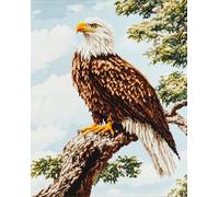Henypt Kits de punto de cruz para adultos,Animales y aves: Águila calva DIY Kits de Bordado Punto Cruz,11CT Cross Stitch Cadeaux artisanaux pour les fêtes,12x16in